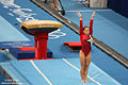 120px-shawn_johnson_olympics_vault.jpg