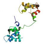 pbb_protein_tnnc1_image