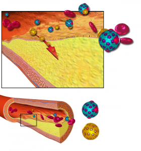 Cholesterol