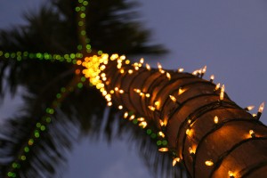 1024px-Christmas_in_Paradise_-_Flickr_-_Joe_Parks