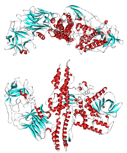 Botulinum_toxin_3BTA