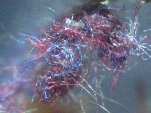 morgellons_color-300x225