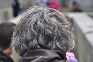 Back_head,_grey_hairs