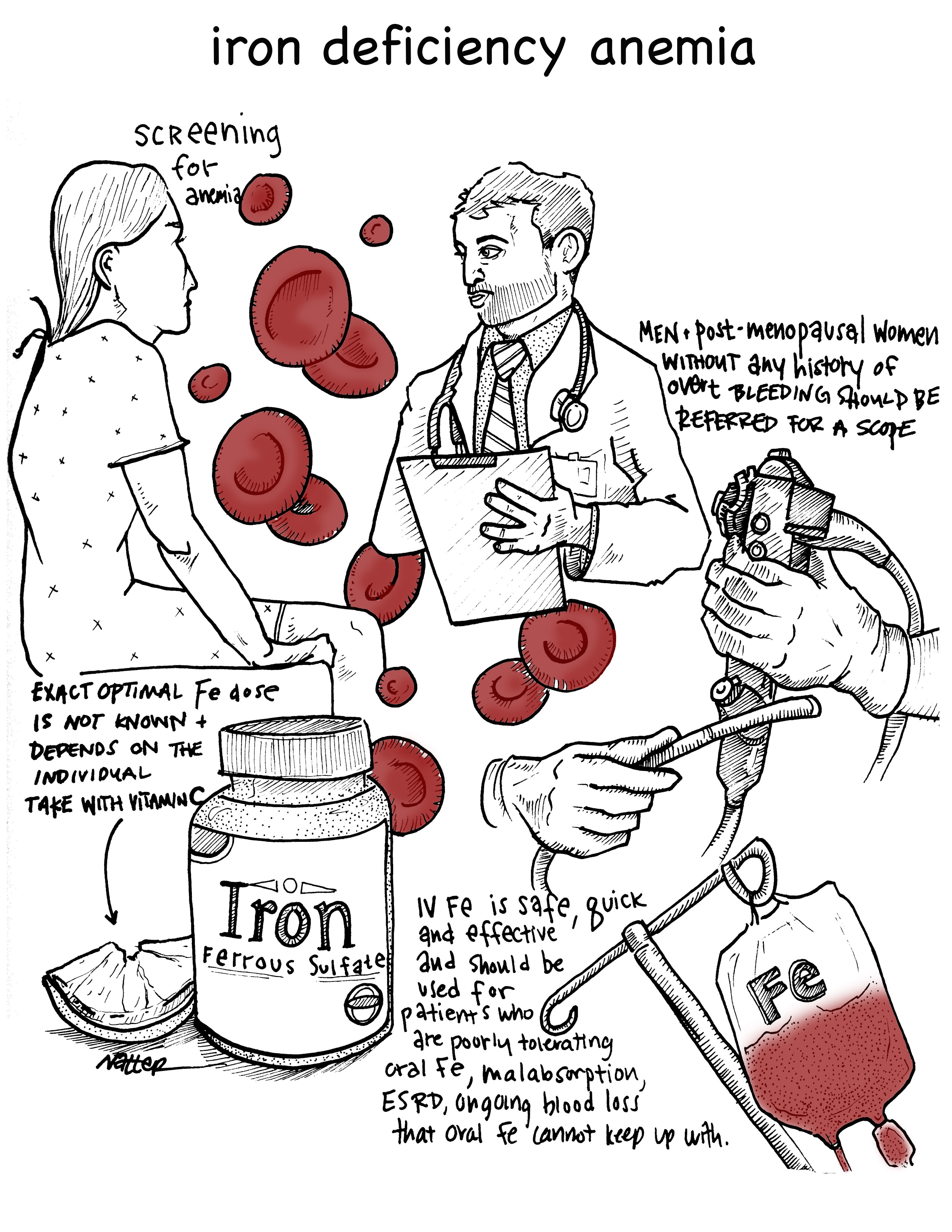 The Occurrence Of Iron Deficiency Anemia