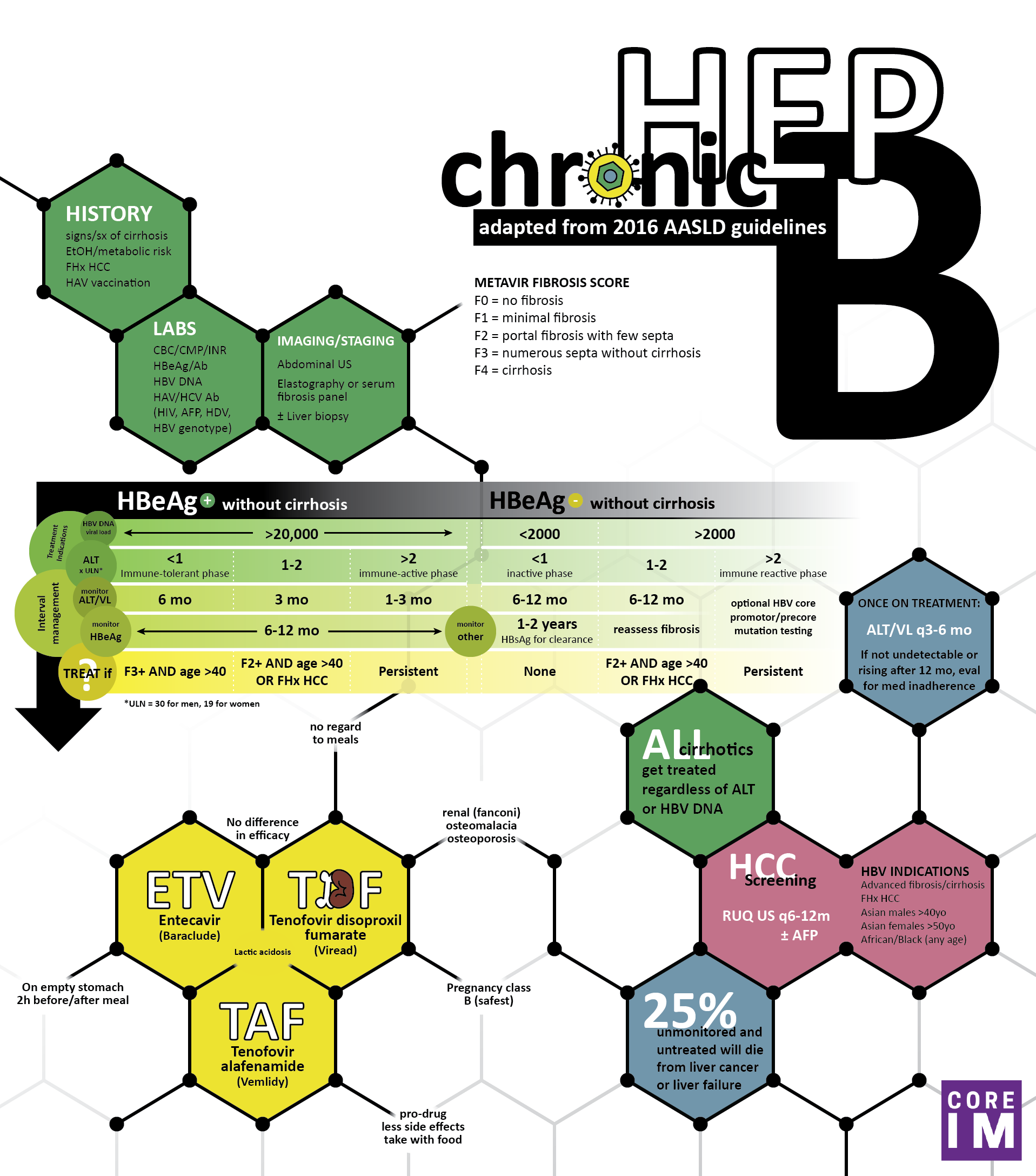 Core Im 5 Pearls On Chronic Hepatitis B Part 2 Management