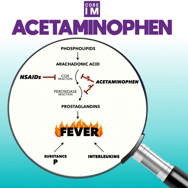 Core IM Mind the Gap on Acetaminophen/Fevers Pathophysiology and